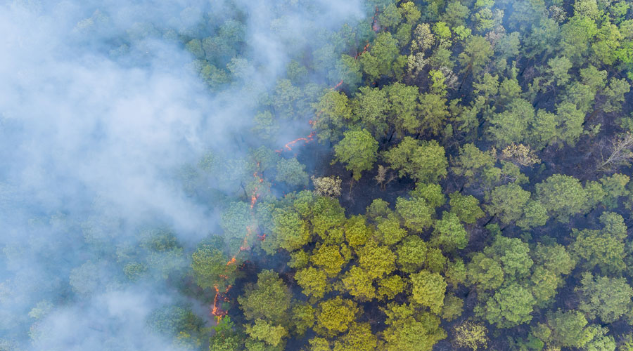 Wildfires 3 Times More Likely in Canada Due to Climate Change, Report Finds