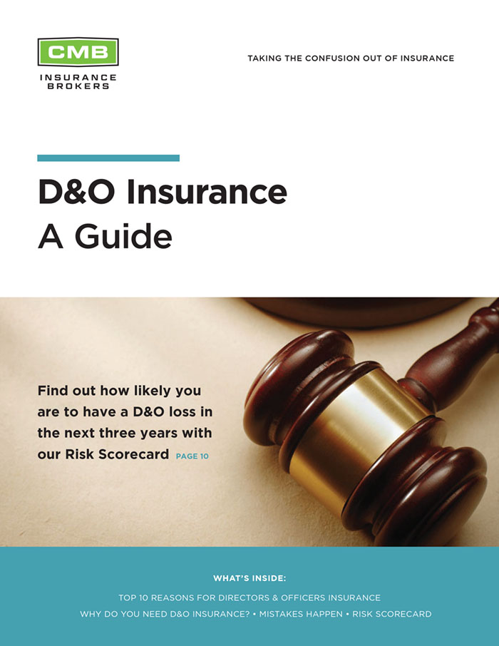 D-and-O-guide-cover