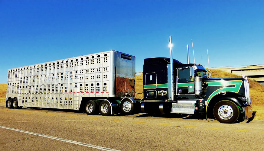 livestock-haulers-insurance-edmonton